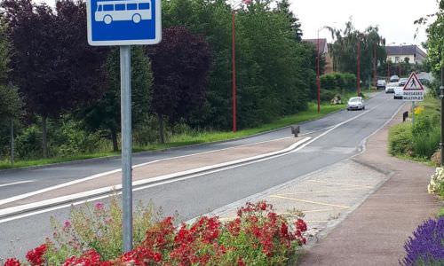 Vivre à Willerwald Vivre à Willerwald